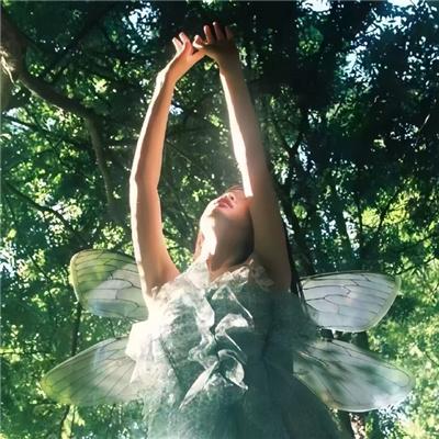 侯门主母温黎传